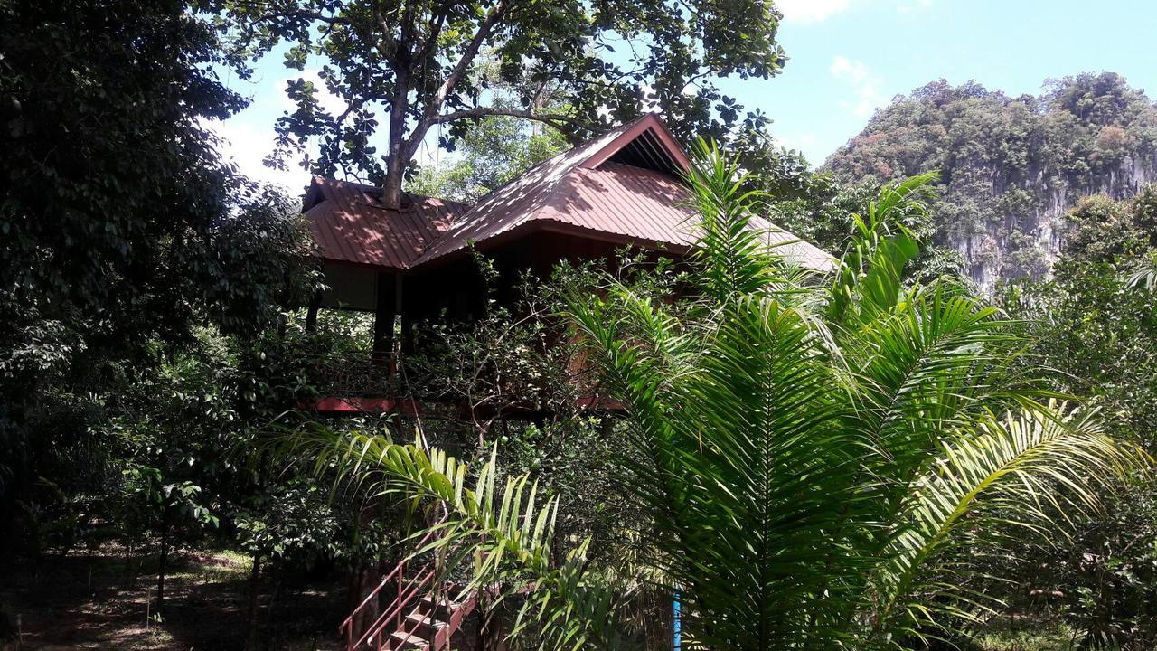 Baan Khaosok Resort Khao Sok National Park Luaran gambar