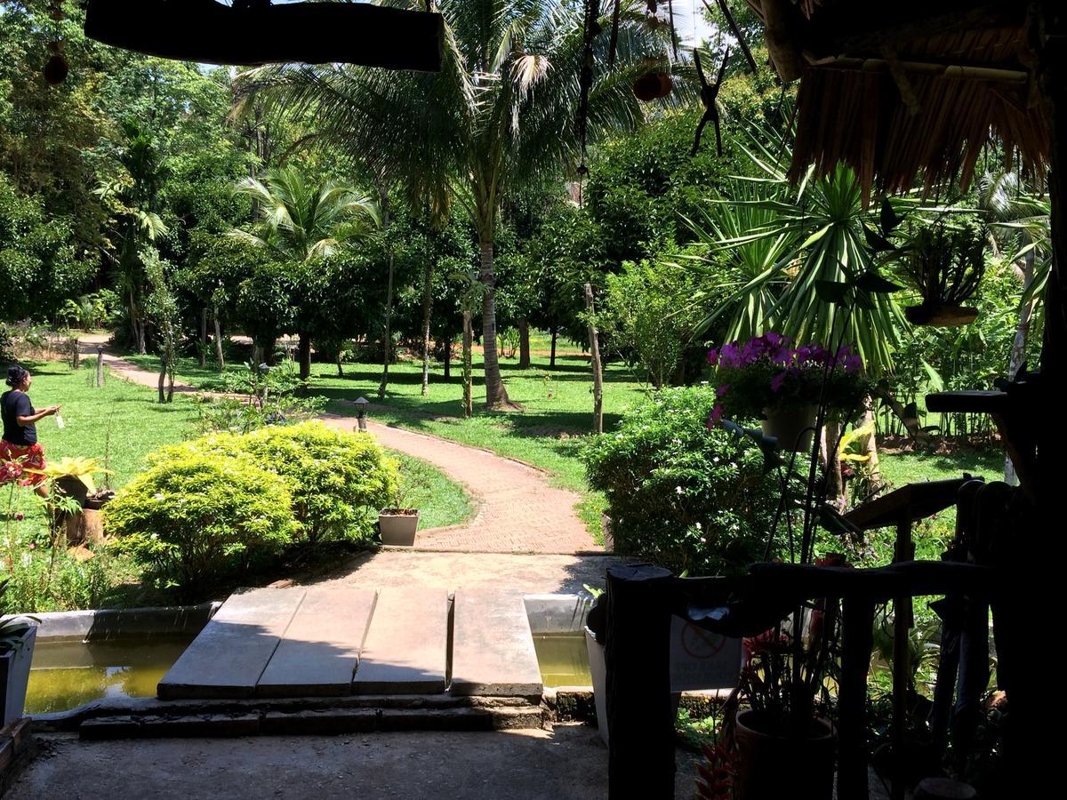 Baan Khaosok Resort Khao Sok National Park Luaran gambar